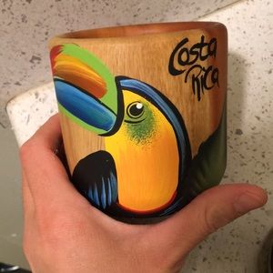 Wooden Costa Rican mugs. Hand painted. Two parrots and a toucan